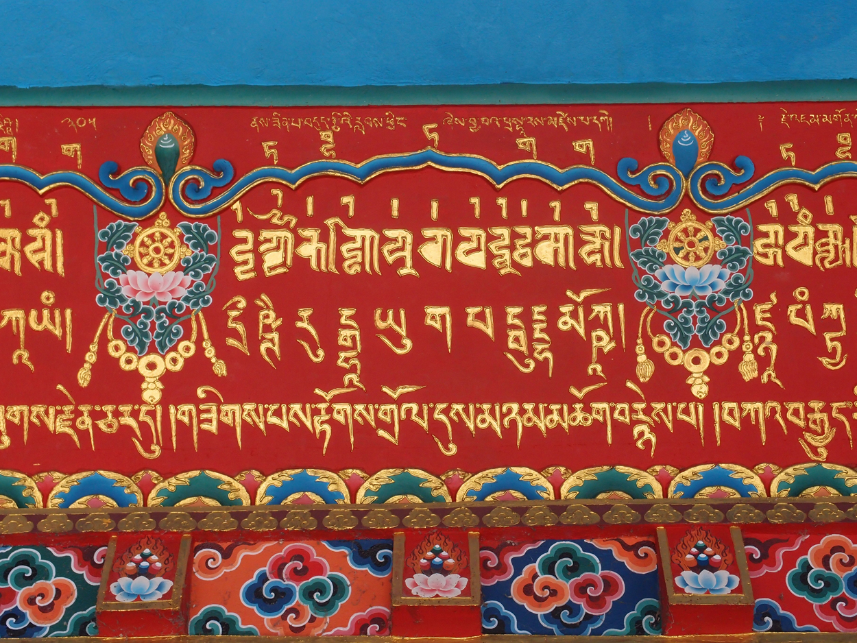 2018-01-22 10 Uhr - Boudha Walk (Foto) 